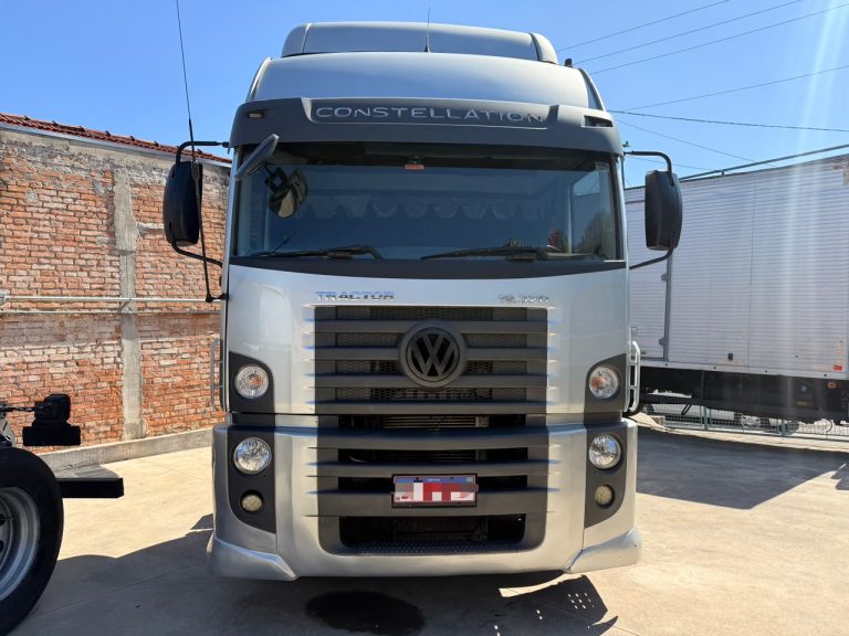 volkswagen 19-320 2009